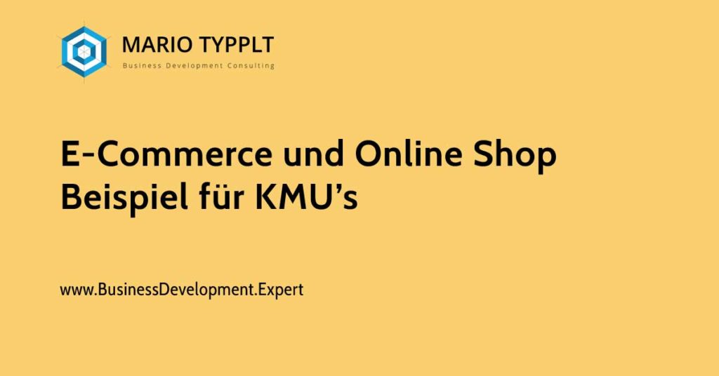 Beispiel Beratung zu E-Commerce und Online Shop für KMU's